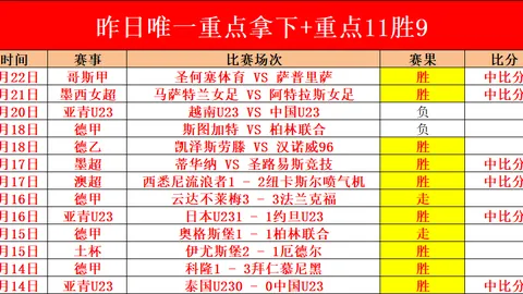 [NBA]4月23日季后赛焦点之战：约基奇精华集锦