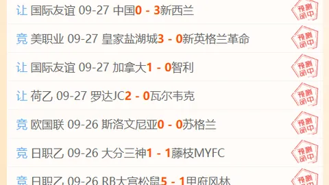 欧文：避开与詹姆斯比较的真相，探寻各自独特生涯轨迹